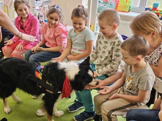 Grafika #15: 12.03.2024 Dogoterapia - gr III