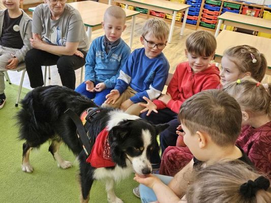 Grafika #17: 12.03.2024 Dogoterapia - gr III