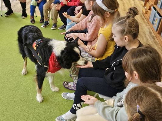 Grafika #18: 12.03.2024 Dogoterapia - gr III