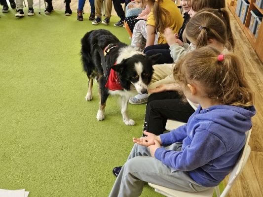 Grafika #19: 12.03.2024 Dogoterapia - gr III