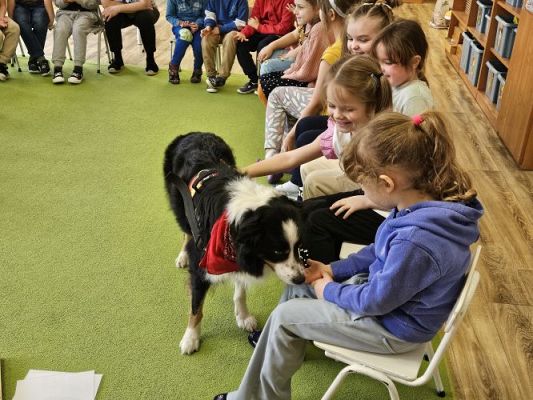 Grafika #20: 12.03.2024 Dogoterapia - gr III