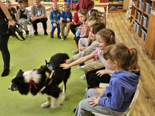 Grafika #21: 12.03.2024 Dogoterapia - gr III