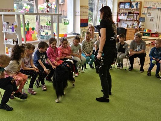 Grafika #22: 12.03.2024 Dogoterapia - gr III