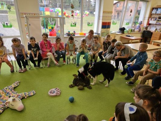 Grafika #28: 12.03.2024 Dogoterapia - gr III