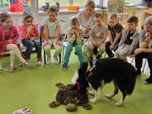 Grafika #29: 12.03.2024 Dogoterapia - gr III