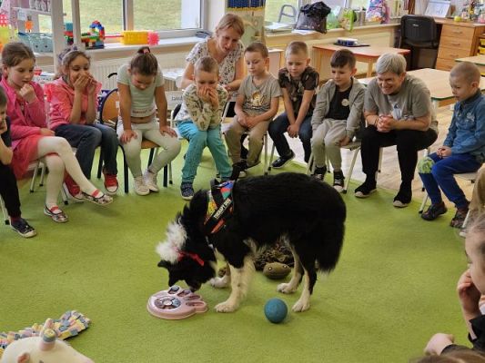 Grafika #30: 12.03.2024 Dogoterapia - gr III