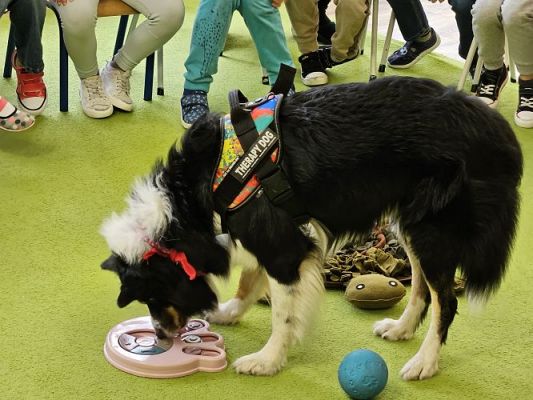 Grafika #31: 12.03.2024 Dogoterapia - gr III