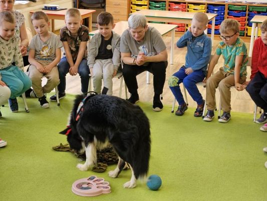 Grafika #32: 12.03.2024 Dogoterapia - gr III