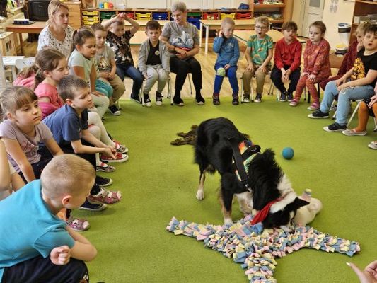 Grafika #34: 12.03.2024 Dogoterapia - gr III