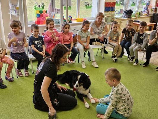 Grafika #35: 12.03.2024 Dogoterapia - gr III