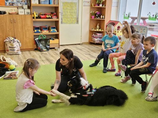 Grafika #44: 12.03.2024 Dogoterapia - gr III