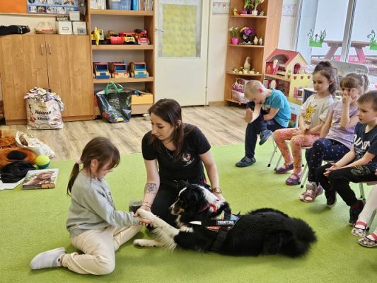 Grafika #45: 12.03.2024 Dogoterapia - gr III