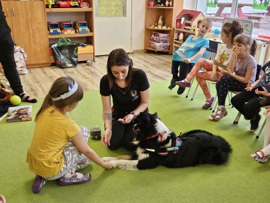 Grafika #48: 12.03.2024 Dogoterapia - gr III