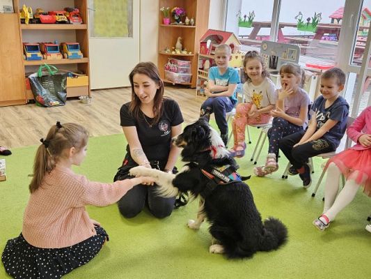 Grafika #49: 12.03.2024 Dogoterapia - gr III