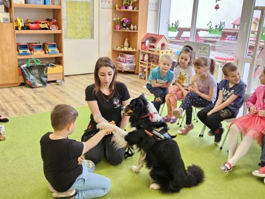 Grafika #50: 12.03.2024 Dogoterapia - gr III