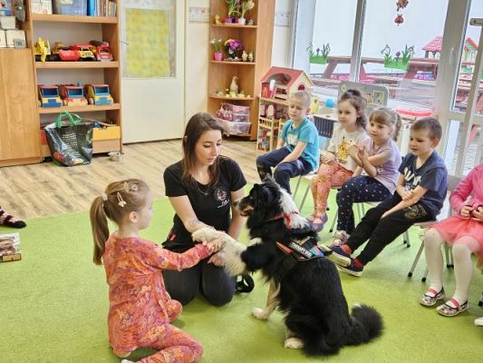 Grafika #52: 12.03.2024 Dogoterapia - gr III