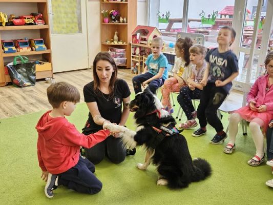 Grafika #53: 12.03.2024 Dogoterapia - gr III