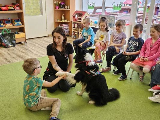 Grafika #54: 12.03.2024 Dogoterapia - gr III