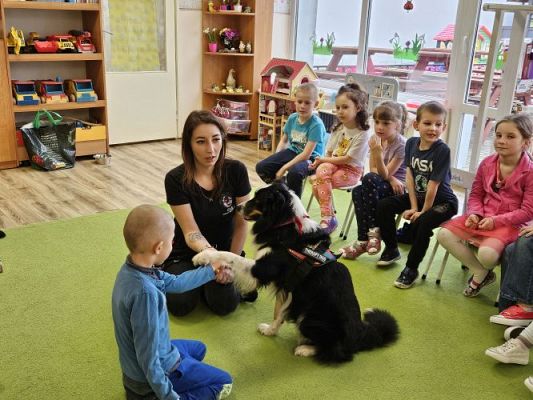 Grafika #55: 12.03.2024 Dogoterapia - gr III