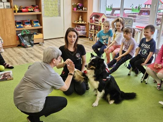 Grafika #57: 12.03.2024 Dogoterapia - gr III