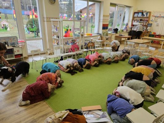 Grafika #75: 12.03.2024 Dogoterapia - gr III