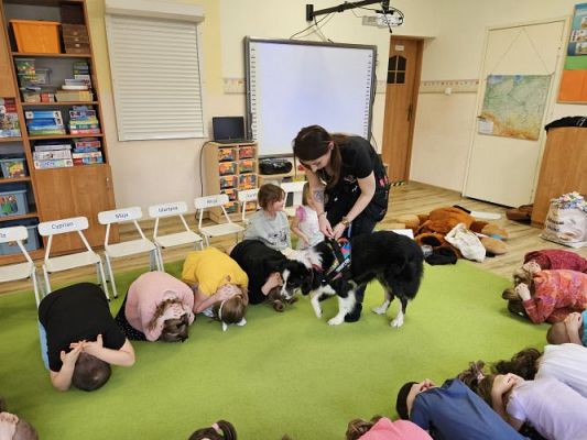 Grafika #80: 12.03.2024 Dogoterapia - gr III