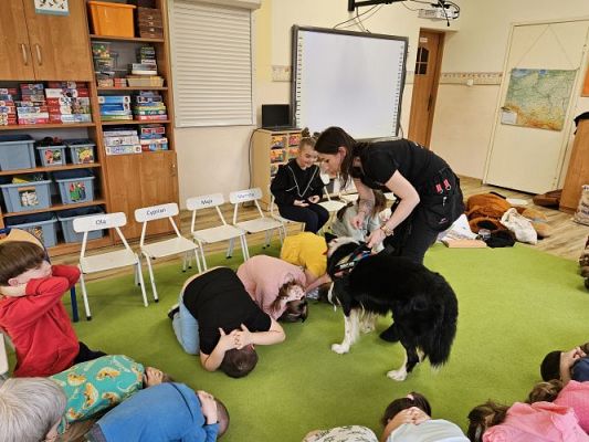 Grafika #81: 12.03.2024 Dogoterapia - gr III