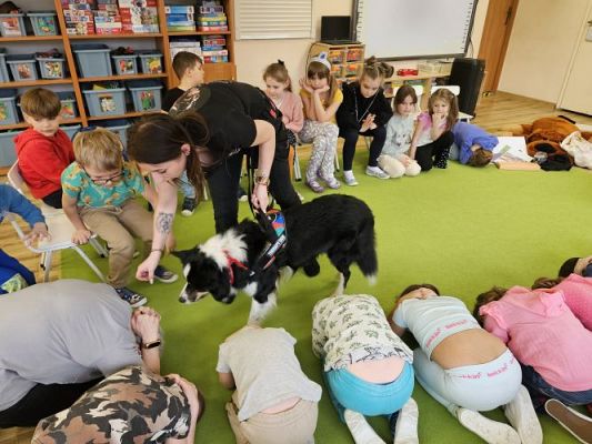 Grafika #84: 12.03.2024 Dogoterapia - gr III