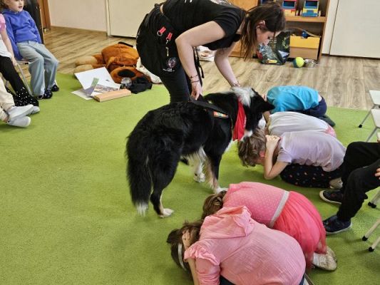 Grafika #87: 12.03.2024 Dogoterapia - gr III