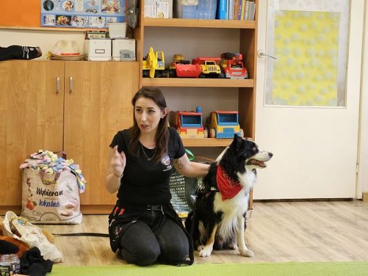 Grafika #89: 12.03.2024 Dogoterapia - gr III