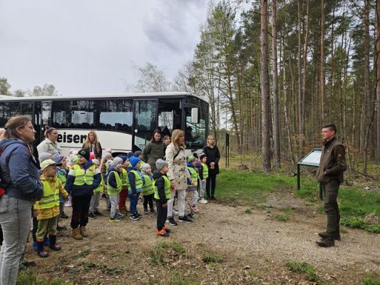 Grafika #0: 08.04.2024 Wycieczka do lasu - spotkanie z leśnikiem