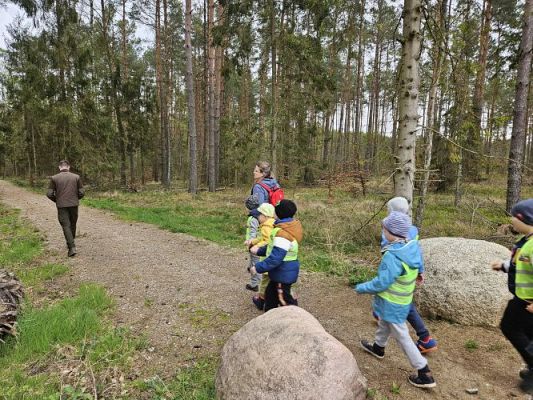 Grafika #5: 08.04.2024 Wycieczka do lasu - spotkanie z leśnikiem