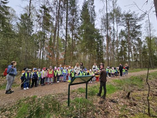 Grafika #12: 08.04.2024 Wycieczka do lasu - spotkanie z leśnikiem