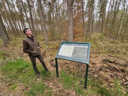 Grafika #16: 08.04.2024 Wycieczka do lasu - spotkanie z leśnikiem