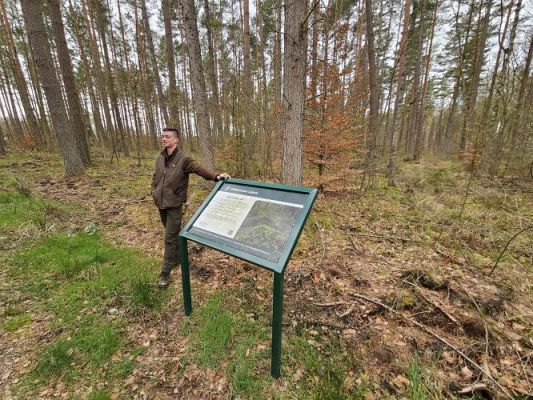 Grafika #17: 08.04.2024 Wycieczka do lasu - spotkanie z leśnikiem