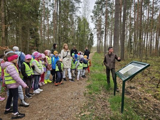 Grafika #19: 08.04.2024 Wycieczka do lasu - spotkanie z leśnikiem