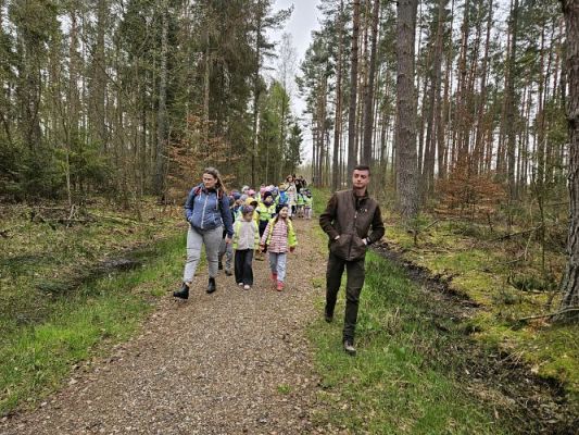 Grafika #21: 08.04.2024 Wycieczka do lasu - spotkanie z leśnikiem