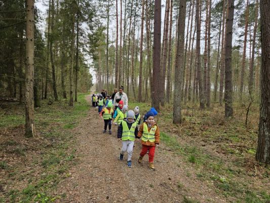 Grafika #27: 08.04.2024 Wycieczka do lasu - spotkanie z leśnikiem