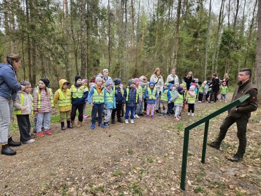 Grafika #28: 08.04.2024 Wycieczka do lasu - spotkanie z leśnikiem