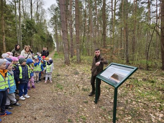 Grafika #30: 08.04.2024 Wycieczka do lasu - spotkanie z leśnikiem
