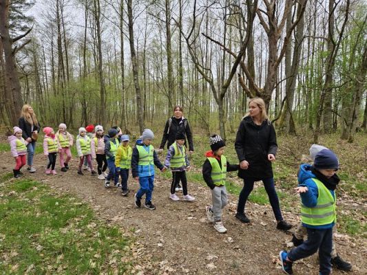Grafika #41: 08.04.2024 Wycieczka do lasu - spotkanie z leśnikiem