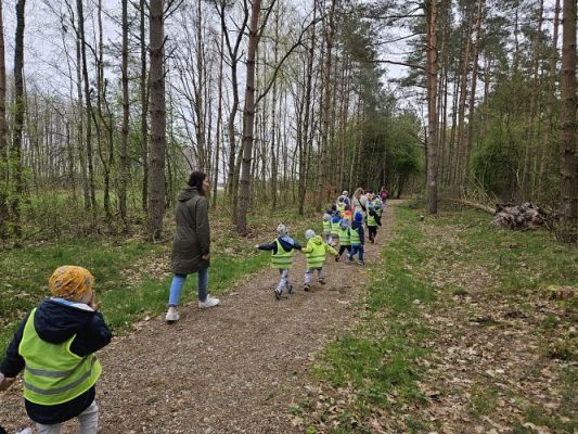 Grafika #42: 08.04.2024 Wycieczka do lasu - spotkanie z leśnikiem