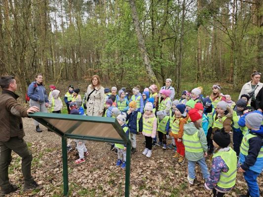 Grafika #46: 08.04.2024 Wycieczka do lasu - spotkanie z leśnikiem