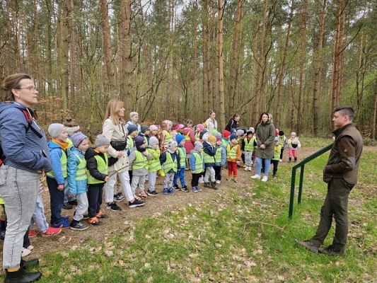 Grafika #53: 08.04.2024 Wycieczka do lasu - spotkanie z leśnikiem