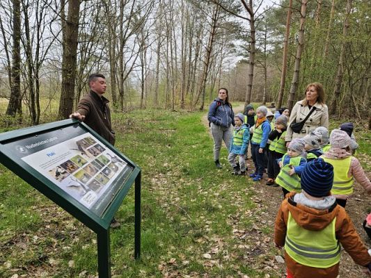 Grafika #55: 08.04.2024 Wycieczka do lasu - spotkanie z leśnikiem