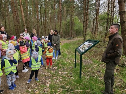 Grafika #56: 08.04.2024 Wycieczka do lasu - spotkanie z leśnikiem