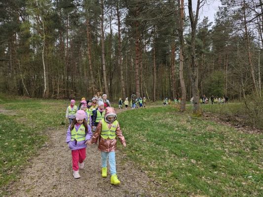 Grafika #57: 08.04.2024 Wycieczka do lasu - spotkanie z leśnikiem