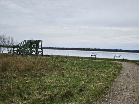 Grafika #59: 08.04.2024 Wycieczka do lasu - spotkanie z leśnikiem