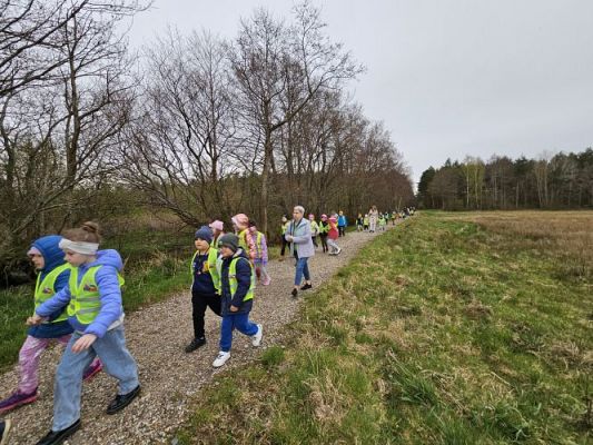 Grafika #61: 08.04.2024 Wycieczka do lasu - spotkanie z leśnikiem
