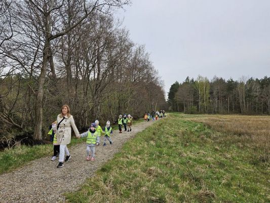 Grafika #62: 08.04.2024 Wycieczka do lasu - spotkanie z leśnikiem